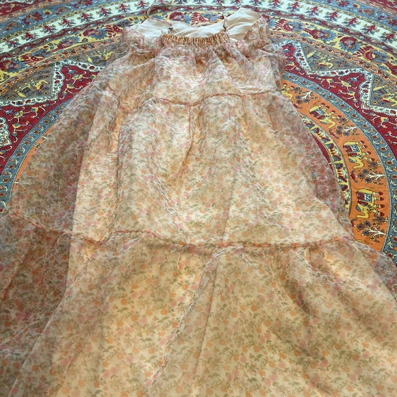 NWOT🌸Blogger’s Favorite Organza Dress - Picture 7 of 16